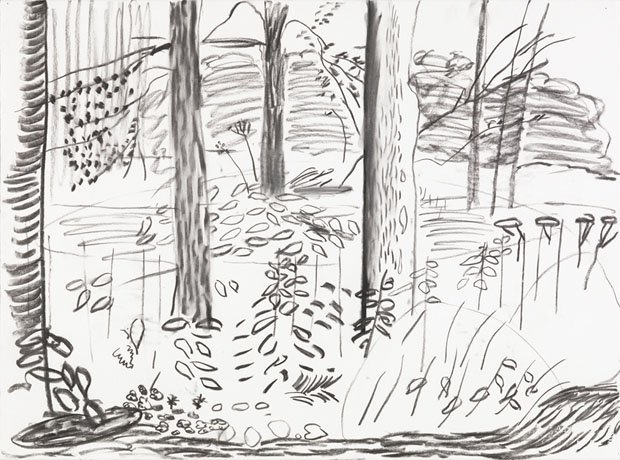 Drawing 1