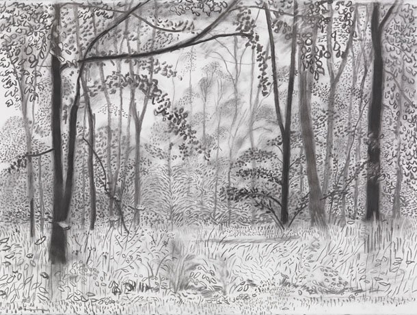 Drawing 3