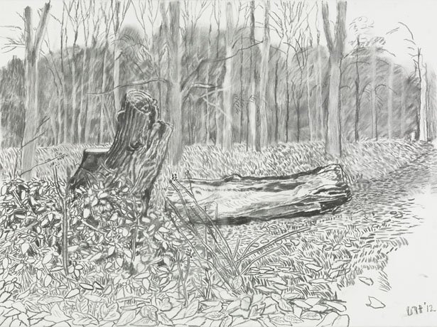 Drawing 5